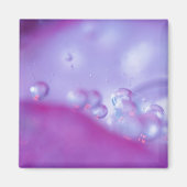 Donderdruppels op abstract bloempetaal. Krediet al Magneet (Voorkant)