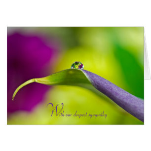 Donderste sympathiedekreel op blad