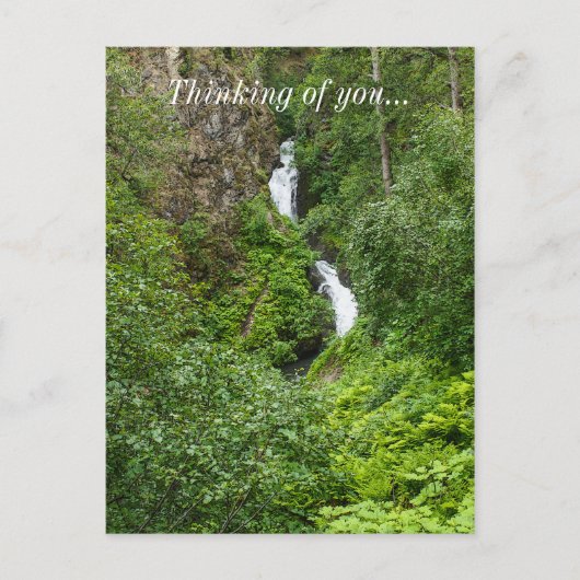 Dondervogel Painterly Briefkaart (Voorkant)