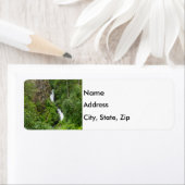 Dondervogel Painterly Etiket (Insitu)