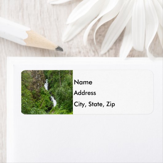 Dondervogel Painterly Etiket (Insitu)
