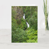 Dondervogel Painterly Kaart (Voorkant)