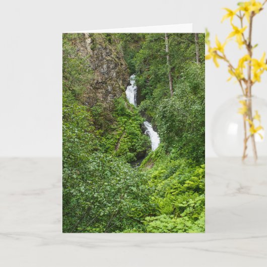 Dondervogel Painterly Kaart (Gele Bloem)