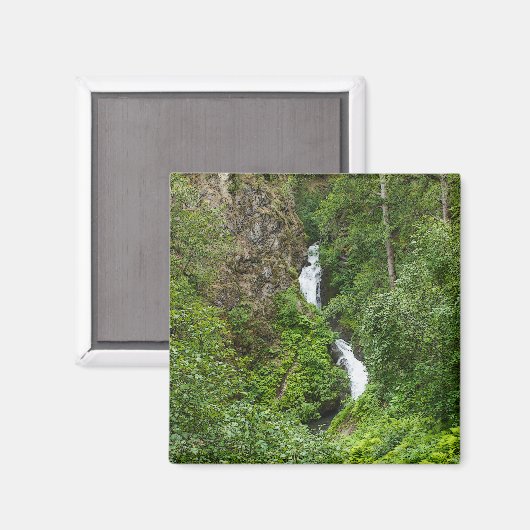 Dondervogel Painterly Magneet (Voorkant / Achterkant)