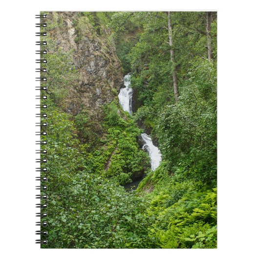 Dondervogel Painterly Notitieboek (Voorkant)