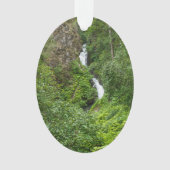 Dondervogel Painterly Ornament (voorkant)