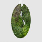 Dondervogel Painterly Ornament (voorkant)
