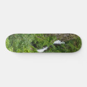 Dondervogel Painterly Persoonlijk Skateboard (Horizontaal)