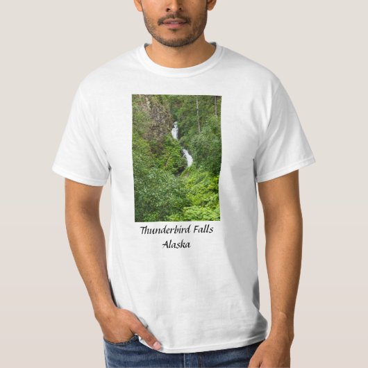 Dondervogel Painterly T-shirt (Voorkant)