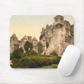 Donegal Castle, County Donegal Muismat (Met muis)