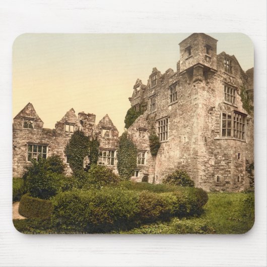 Donegal Castle, County Donegal Muismat (Voorkant)
