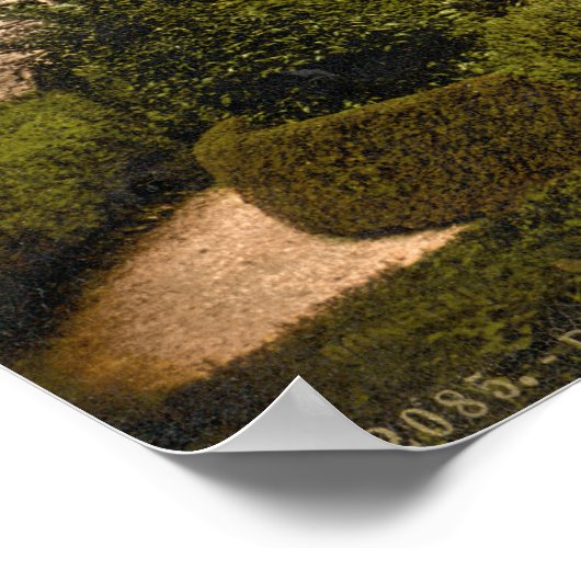 Donegal Castle, County Donegal Poster (Hoek)