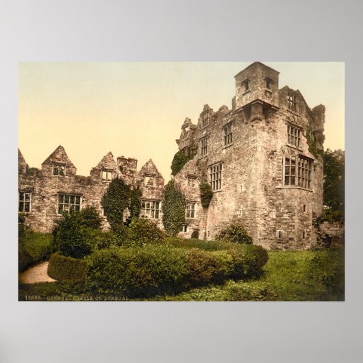 Donegal Castle, County Donegal Poster (Voorkant)