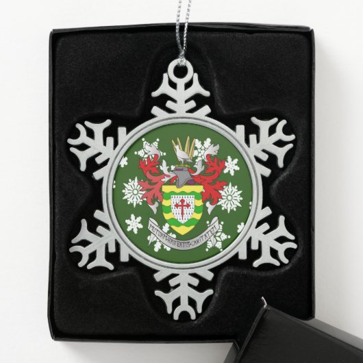 Donegal Ireland Crest Irish Tin Sneeuwvlok Ornament (Kistje)