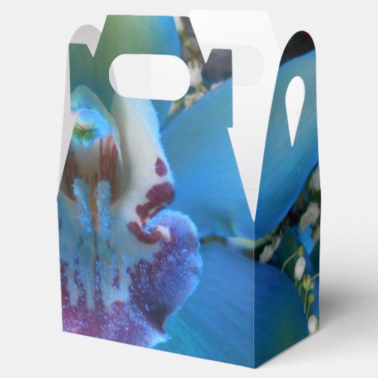 Donella Bedankdoosjes (Geopend)