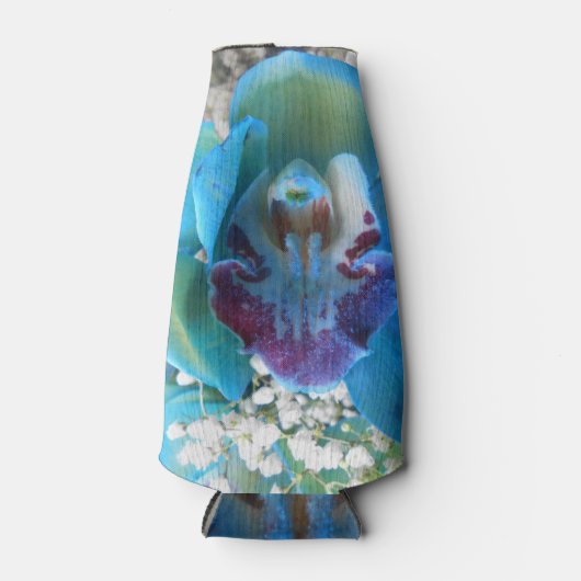 Donella Flesjeskoeler (Voorkant)