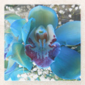 Donella Glazen Onderzetter (Voorkant)