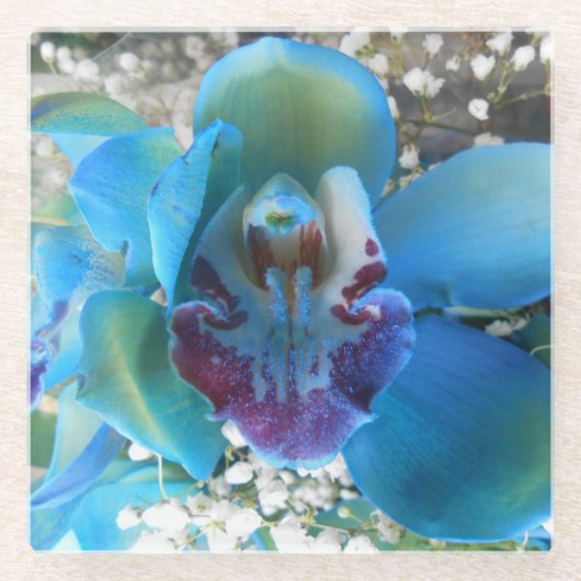 Donella Glazen Onderzetter (Voorkant)