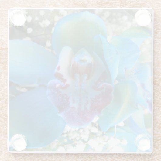 Donella Glazen Onderzetter (Achterkant)