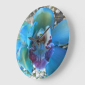 Donella Grote Klok (Hoek)