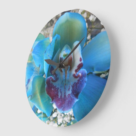 Donella Grote Klok (Hoek)