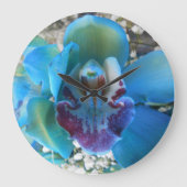 Donella Grote Klok (Voorkant)