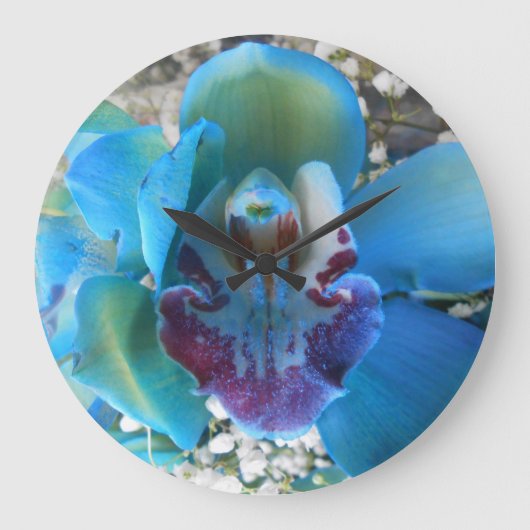 Donella Grote Klok (Voorkant)