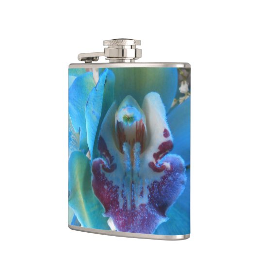 Donella Heupfles (Links)