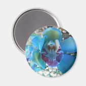 Donella Magneet (Voorkant / Achterkant)