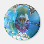 Donella Magneet (Voorkant)