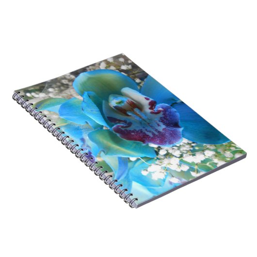 Donella Notitieboek (Rechterzijde)