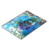 Donella Notitieboek (Linkerzijde)