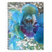 Donella Notitieboek (Voorkant)