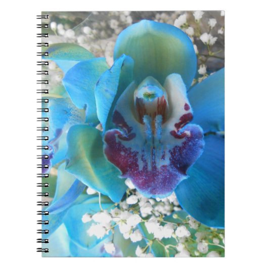 Donella Notitieboek (Voorkant)