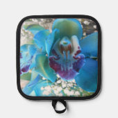 Donella Pannenlap (Voorkant)