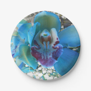 Donella Papieren Bordje