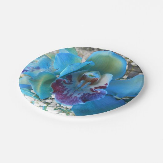 Donella Papieren Bordje (Gekanteld)