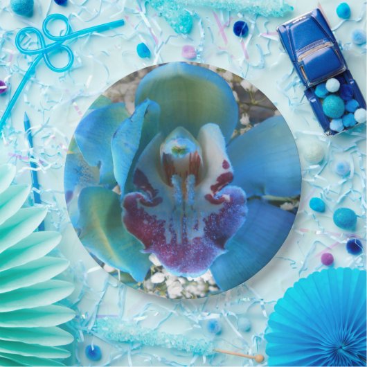 Donella Papieren Bordje (Feest)