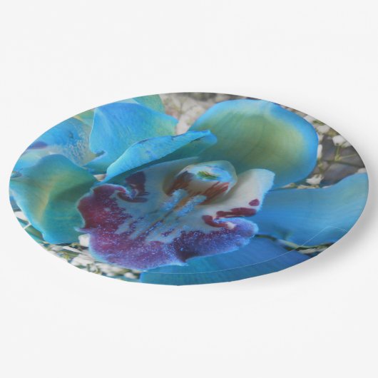 Donella Papieren Bordje (Gekanteld)