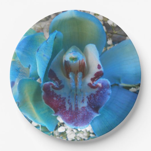 Donella Papieren Bordje (Voorkant)