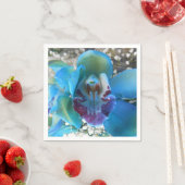 Donella Servet (Insitu)