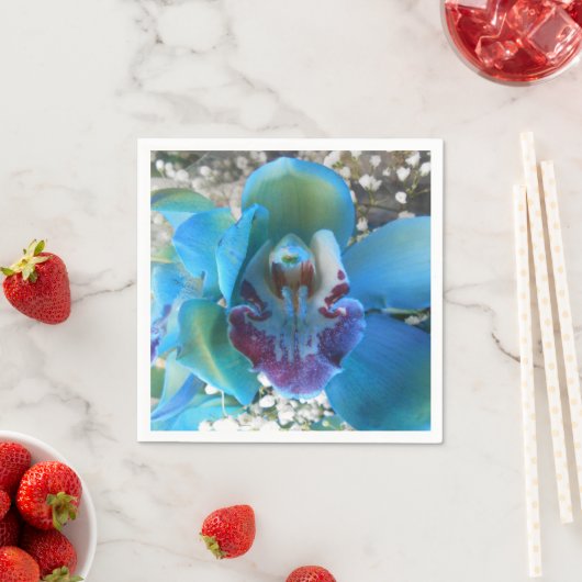 Donella Servet (Insitu)