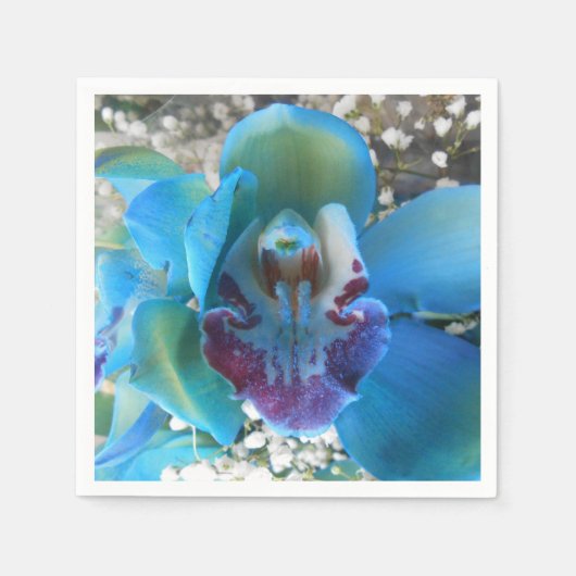 Donella Servet (Voorkant)