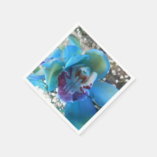 Donella Servet (Hoek)