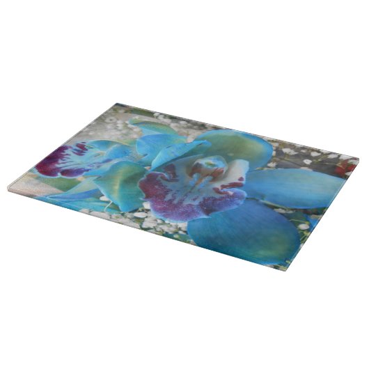 Donella Snijplank (Hoek)