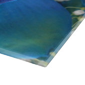 Donella Snijplank (Hoek)