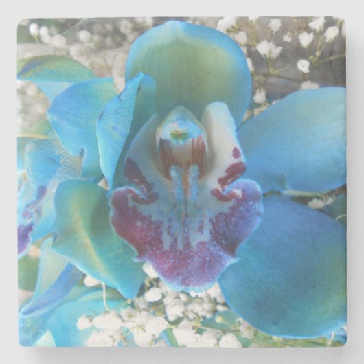 Donella Stenen Onderzetter (Voorkant)