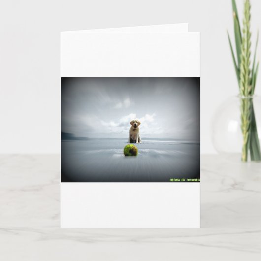 Dongles en bal.jpg feestdagen kaart (Voorkant)