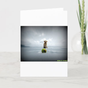 Dongles en ball.jpg feestdagen kaart