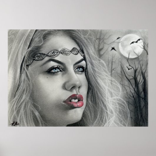 Donk Beauty Moon Shadows Poster (Voorkant)